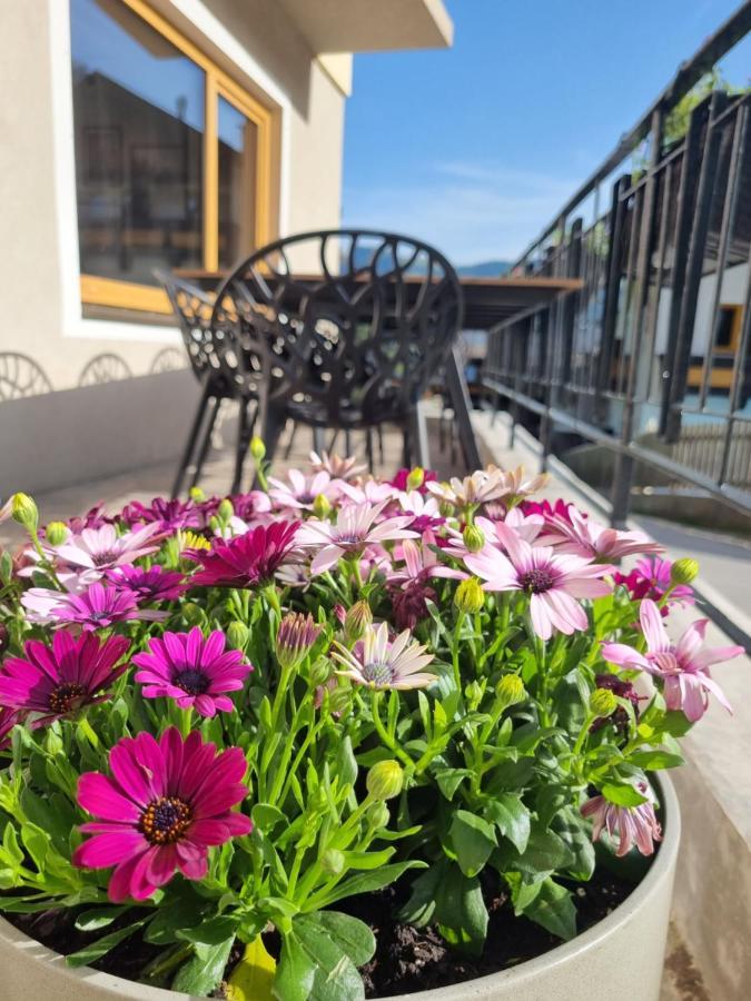 Kaiser Traum Appartement Auffach Kültér fotó